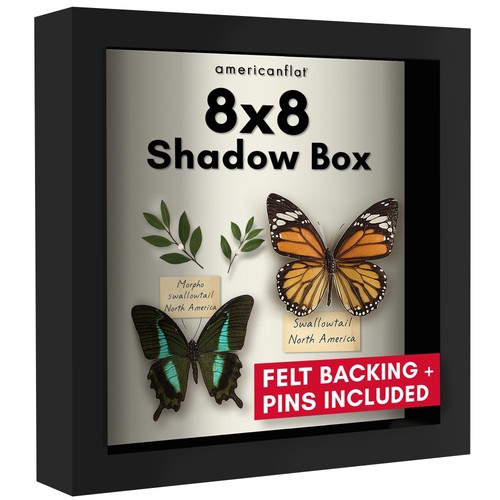 Americanflat 8x8 shadow box - 8x8,